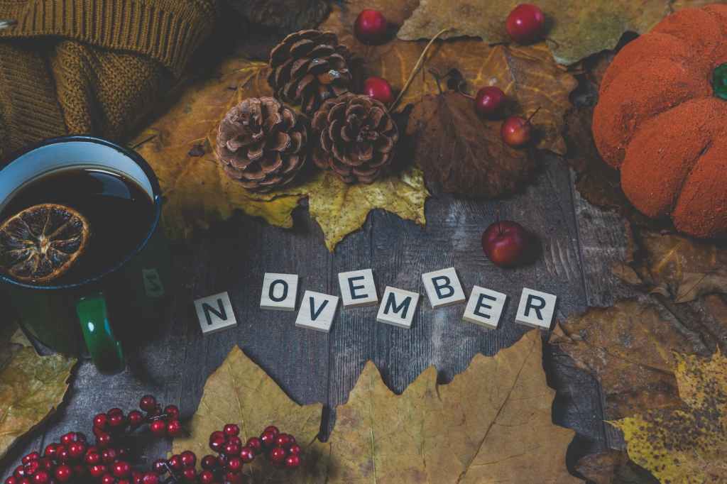 Libro Circular: hola noviembre&nbsp;¡¡