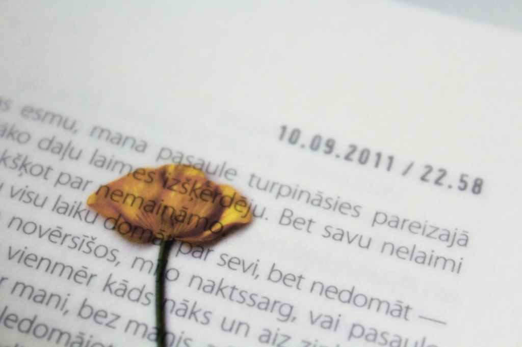 Las 3 mejores novelas históricas para viajar al&nbsp;pasado