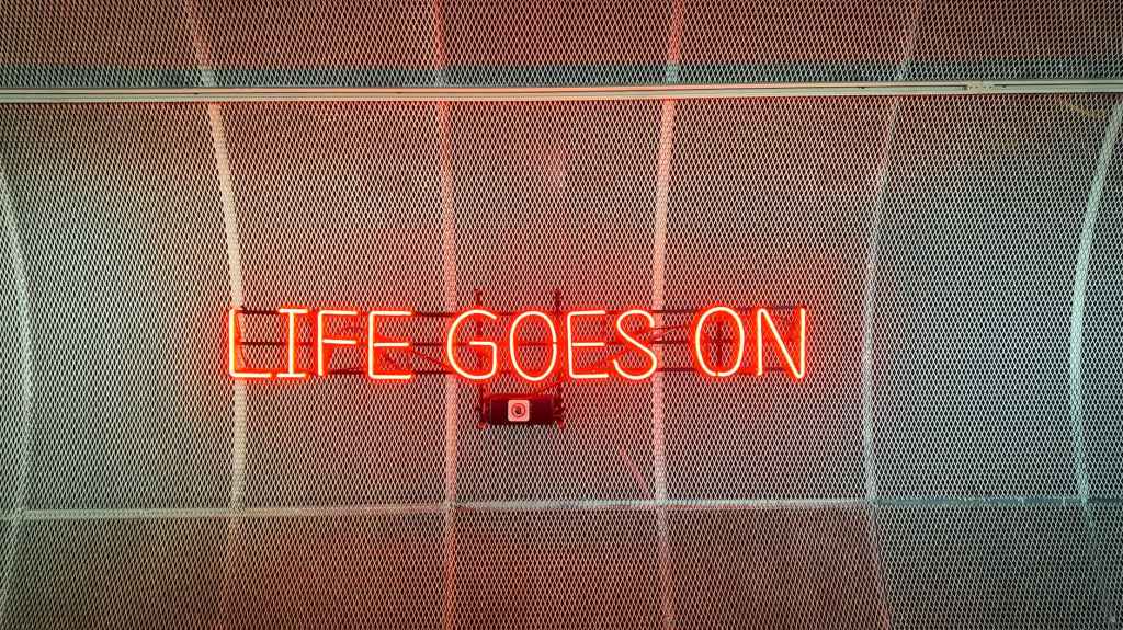 Libro Circular: continuamos