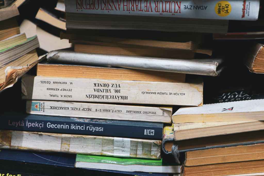 Libro Circular: Julio, libros y las piscinas. Una combinación refrescante para disfrutar del&nbsp;verano